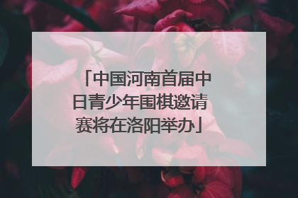 中国河南首届中日青少年围棋邀请赛将在洛阳举办